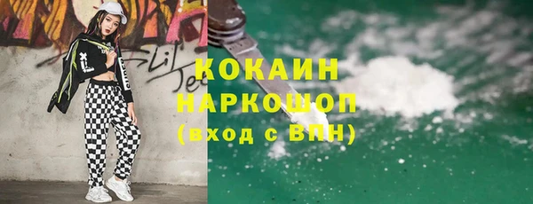 хмурый Алзамай