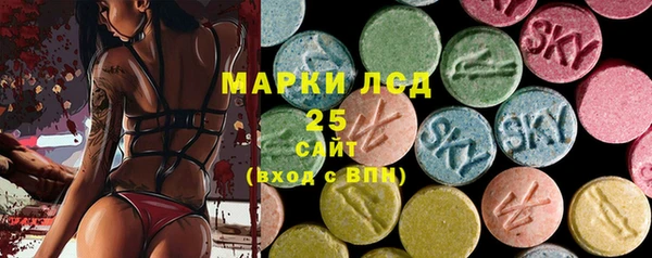 хмурый Алзамай