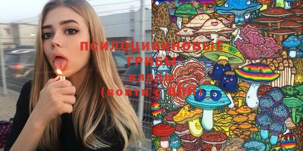 хмурый Алзамай