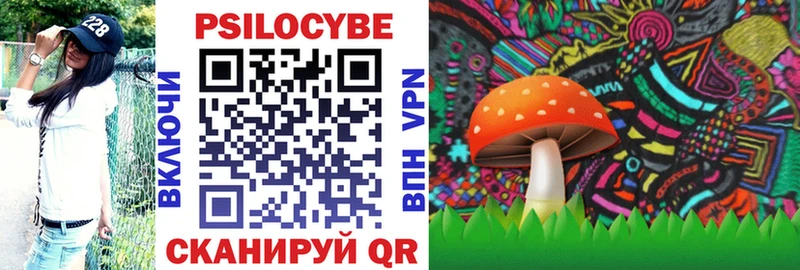 Псилоцибиновые грибы Magic Shrooms  blacksprut зеркало  Ардон 